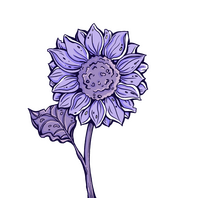 aa